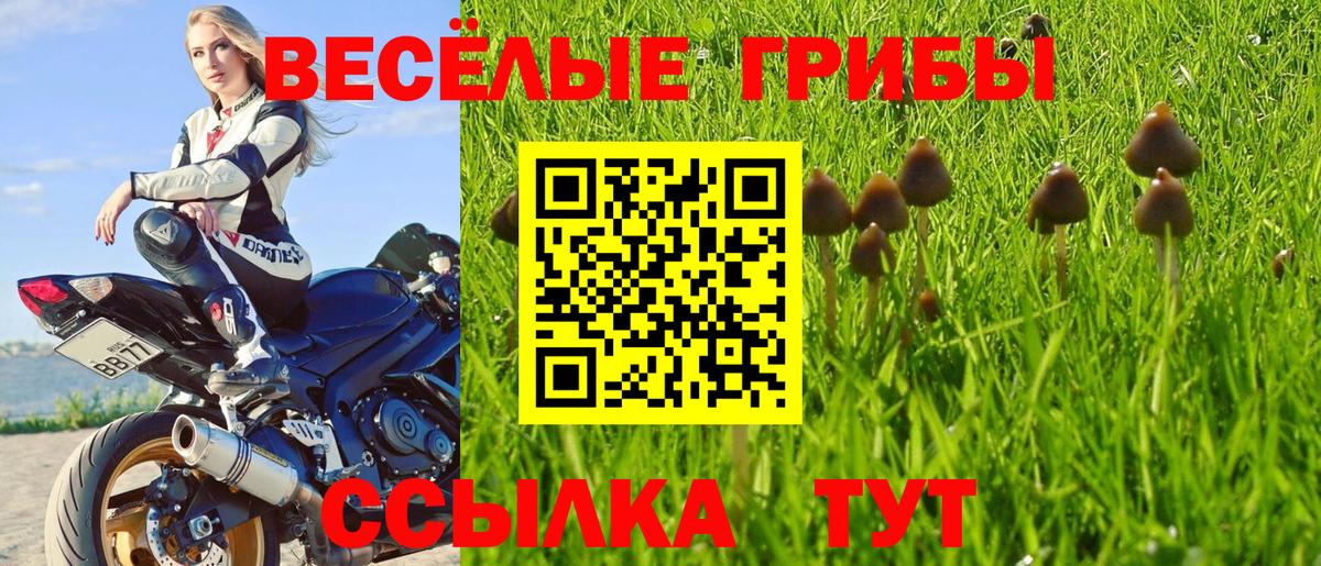 Псилоцибиновые грибы Psilocybe  дарнет шоп  Электрогорск  Вход с VPN 