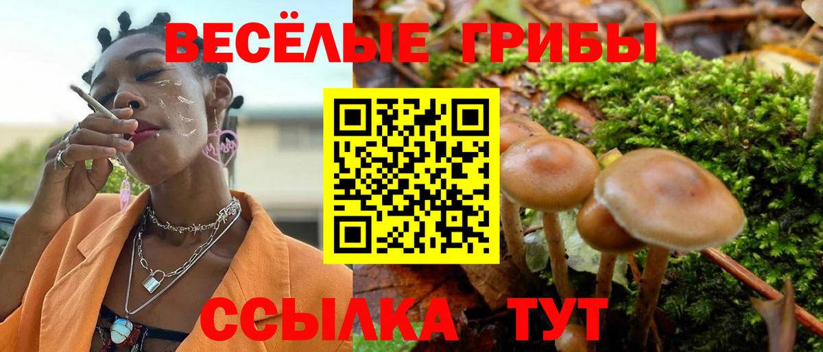 Псилоцибиновые грибы прущие грибы Электрогорск